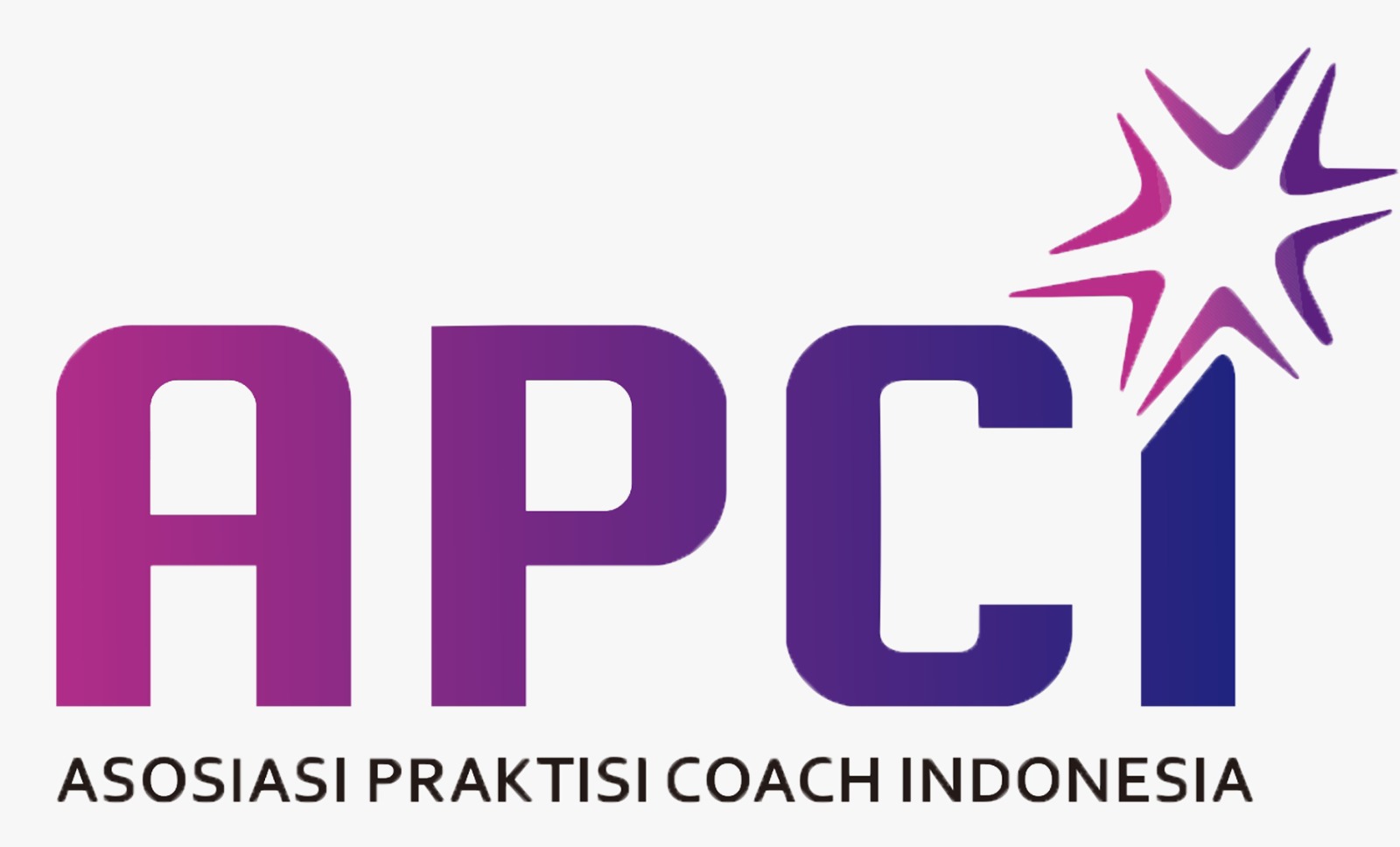 APCI Logo